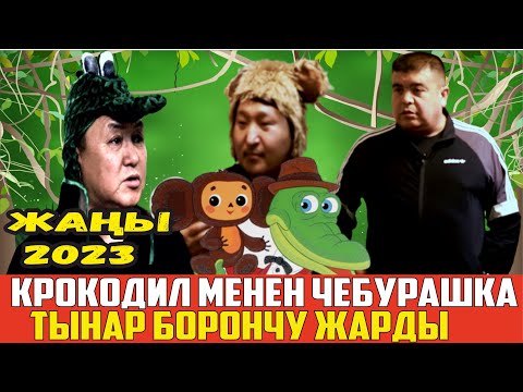Видео: ЖАҢЫ2023//ТЫНАР БОРОНЧУ КРОКОДИЛ ЖАНА ЧЕБУРАШКА//БООР ЭЗГЕН ТАМАША