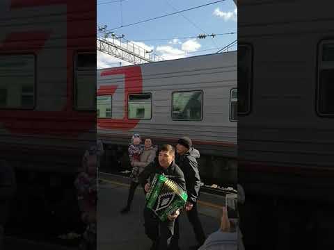 Видео: Михаил Веселов. марийская. вокзал. гармонь. вахтовики . песня .Тюмень  .