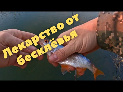 Видео: Не клюёт? Мормышинг спасёт! Рыбалка 2021