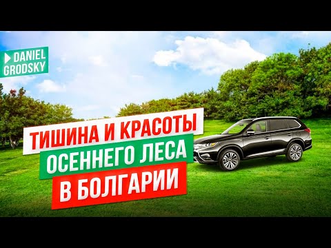 Видео: 🌲 Болгарский лес — тишина и красота природы.Мы рядом со Скалско.Релакс и спокойствие Болгарии.
