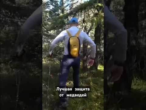 Видео: 🐻 а вы БОИТЕСЬ МЕДВЕДЕЙ в лесу?