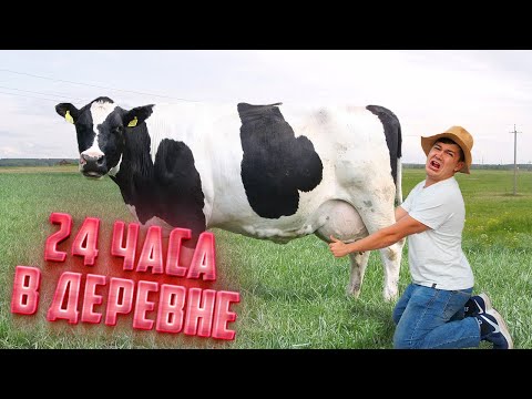 Видео: 24 часа в деревне! Как выжить городскому?