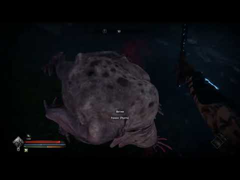 Видео: Tainted Grail The Fall of Avalon \ Прохождение #3