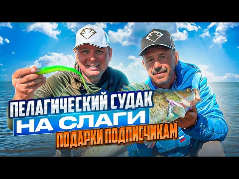 Видео: СПИННИНГ В ДУГУ ОТ ЗЛЫХ ПОКЛЁВОК! Пелагический судак жрёт слаги взаглот!