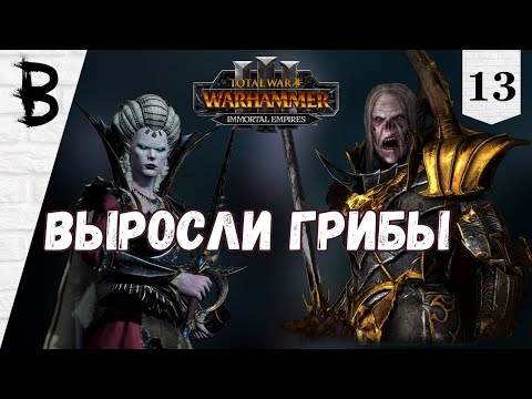 Видео: Total War: Warhammer 3 Immortal Empires Сильвания, Влад фон Карштайн #13 "Выросли грибы"
