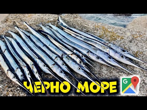 Видео: ЗАРГАНИ на ДЖИГ.РИБОЛОВ на ПЛАЖ ПЕРЛА в ПРИМОРСКО.