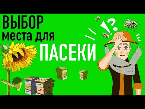 Видео: Как искать место для пасеки?