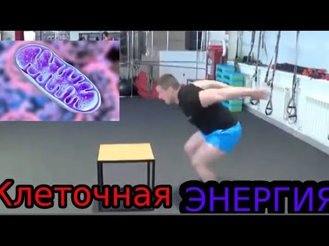 Видео: Вот что делает тебя выносливым хоккеистом.Научный подход