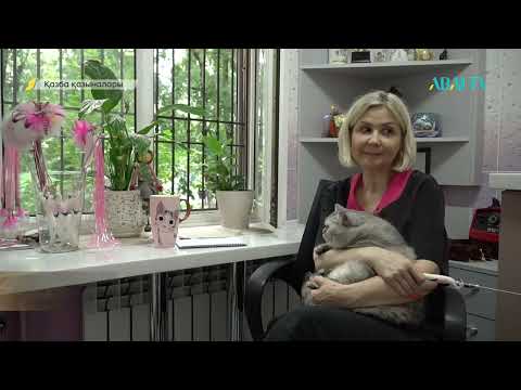 Видео: ҚАЗБА ҚАЗЫНАЛАРЫ. Жанкент мысығы