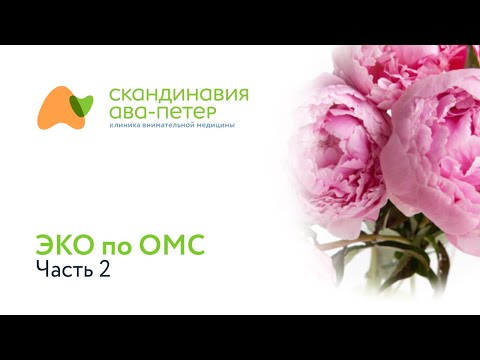 Видео: ЭКО по ОМС. Часть 2