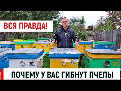 Видео: Почему у Вас гибнут пчелы. ВСЯ ПРАВДА!