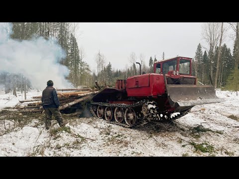 Видео: Лесозаготовка от А до Я. Валка и обрубка леса, вывоз леса на лесовозе Урал 4320!