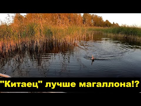 Видео: Дешевый китаец лучше Jackall
