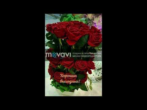 Видео: Аслиддини  Буризод  туена 2019 2