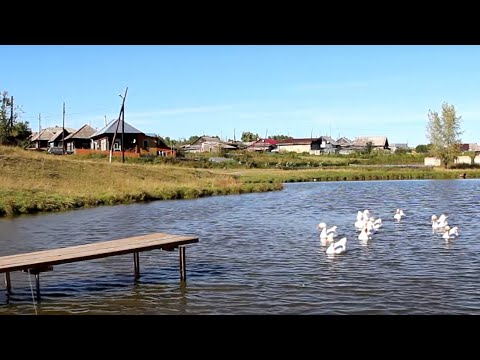 Видео: Жуково, сибирский сентябрь