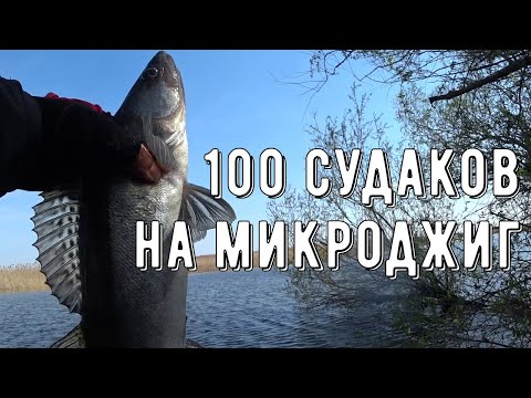 Видео: Судаки жрут микроджиг/приманки с AliExpress