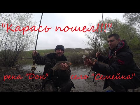 Видео: "Карась пошёл!!!", (Крупный карась, хороший улов), 25.04.2023, река Дон, село "Семейка".