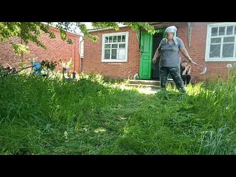 Видео: Купила дом в деревне.