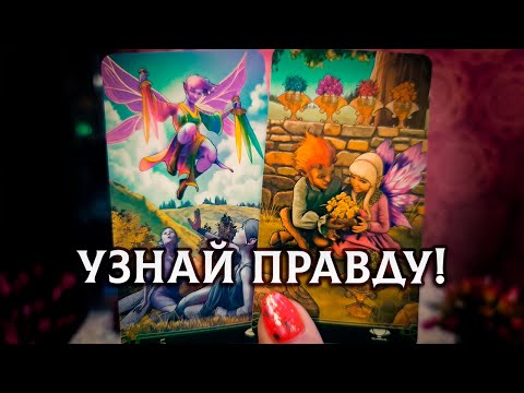 Видео: ЧТО ПРОИСХОДИТ ЗА ВАШЕЙ СПИНОЙ? СКАНДАЛЫ, ИНТРИГИ, РАССЛЕДОВАНИЯ...