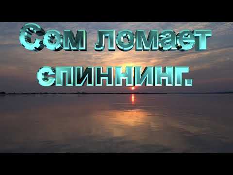 Видео: Сом ломает спиннинг! От такой рыбалки не выдерживают снасти!!!