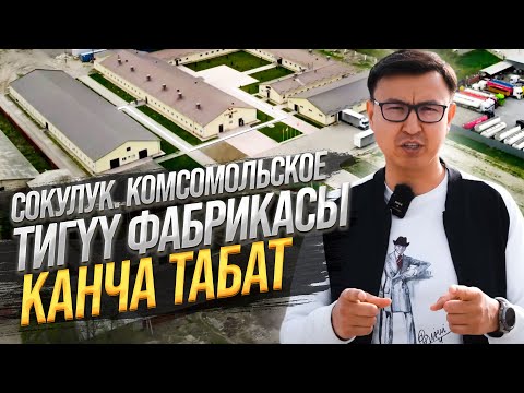 Видео: Сокулуктагы ТИГYY ФАБРИКАСЫ КАНЧА ТАБАТ? @ALKANOV1