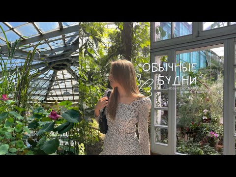 Видео: обычные будни 🎧 | новые растения, манга и ангина