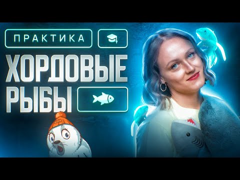Видео: Хордовые. Рыбы | ЕГЭ-2026 по биологии