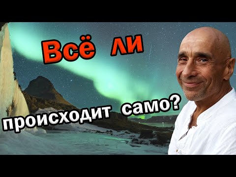 Видео: Верна ли фраза Всё происходит само?