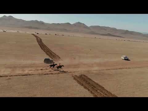 Видео: Скачки. Республика Тыва. Чадан.