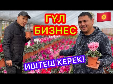 Видео: ГҮЛ БИЗНЕС да ПРИБЫЛЬНЫЙ болот экен  ~  Бул Өзбекстан эмес, Турция эмес, бул - КЫРГЫЗСТАНДА