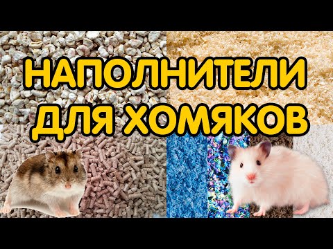 Видео: Наполнитель для хомяков: опилки, кукурузный и древесный наполнитель – какой лучше?
