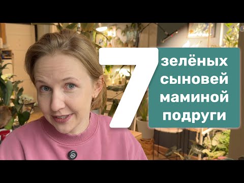 Видео: 7 отличников из мира растений | простые и красивые 