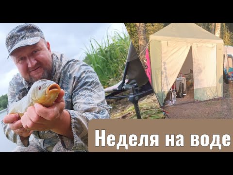 Видео: Недельная рыбалка дикарем! Яузское ВДХР!