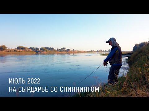 Видео: ЖЕРЕШОК НА СЫРДАРЬЕ: Рыбалка со спиннингом. Ищем стоянки жереха и новые места.