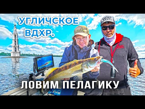 Видео: УЧИМСЯ ЛОВИТЬ СУДАКА на ПАНОПТИКС / Угличское водохранилище.