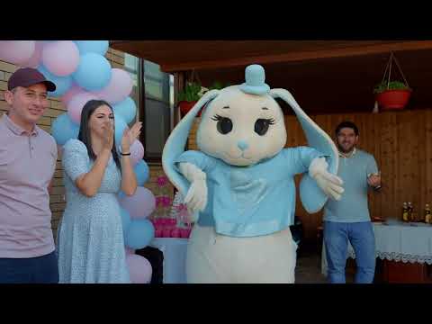 Видео: гендер пати