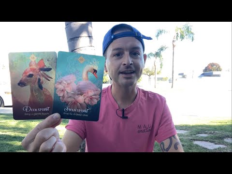 Видео: ЛЕО, ТЫ СКОРО СТАНЕШЬ ТАКИМ СЧАСТЛИВЫМ! ЭТО ИМЕННО ТО, ЧТО ТЕБЕ НУЖНО (СЛЕДУЮЩИЕ 48 ЧАСОВ)