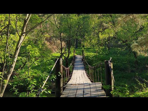 Видео: Сплав по реке Киржач в мае 2024