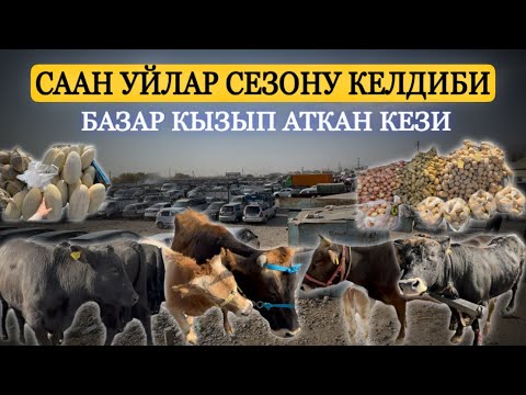 Видео: Жалал абад мал базары. #малбазар2025 