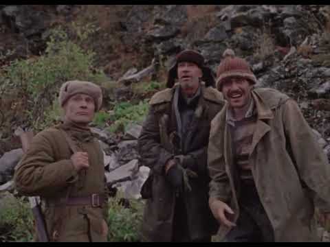 Видео: Фильм Территория снят 1978 г.И основан на реальных событиях.