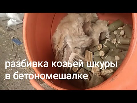 Видео: Проект "4 шкуры" или Вычинка козьих шкур часть 4: разбивка.
