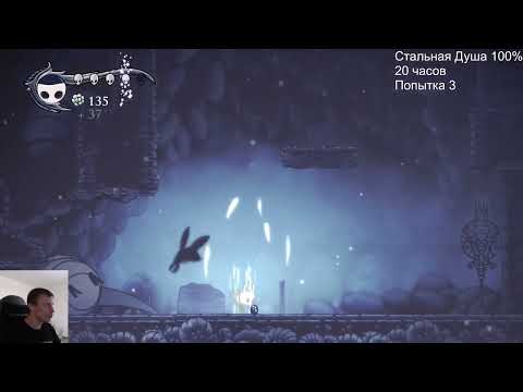 Видео: Hollow Knight c HawK Стальная душа на 100% 20 часов Part2