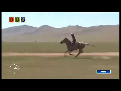 Видео: Үндэсний Их баяр наадам Азарга 2017