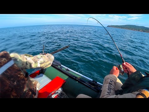 Видео: Такая рыбалка мне нравится... Рыбалка в море на кету