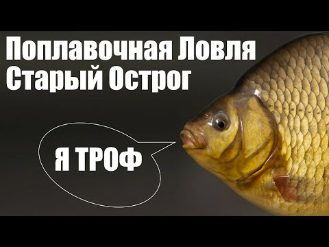 Видео: ПОПЛАВОЧНАЯ ЛОВЛЯ НА ОСТРОГЕ в РР4
