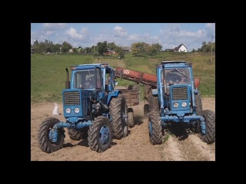 Видео: Как копать картошку картофелеуборочным комбайном ККС2. Тракторы МТЗ-52
