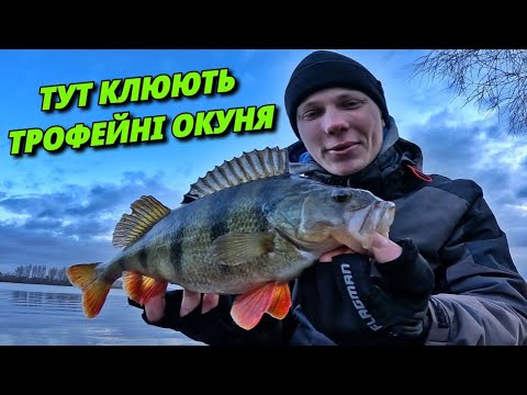 Видео: ⚠️ТАКОГО КЛЬОВУ Я НЕ ОЧІКУВАВ. Трофейна риболовля на окуня!😱