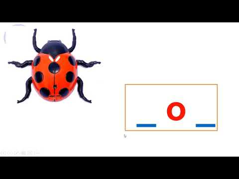 Видео: О,о авиа үсэг