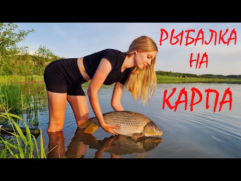 Видео: ФРИКЦИОН ТРЕЩИТ! ТРОФЕЙ НА КРЮЧКЕ! Рыбалка на карпа с ночевкой.