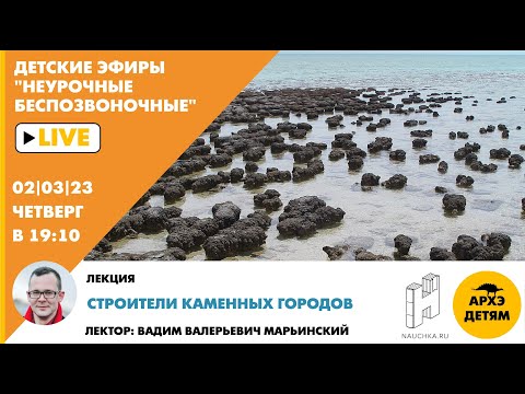 Видео: Детский эфир "Строители каменных городов" курса "Неурочные беспозвоночные" с Вадимом Марьинским